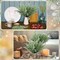 Artificial Christmas Tree Picks Snowy Norfolk Artificial Pine Branches for Vase Christmas Wreath DIY Floral Arrangement Holiday Decor
